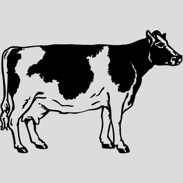 COW024 Thumbnail