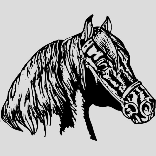 HORSE002 Thumbnail