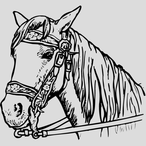 HORSE005 Thumbnail