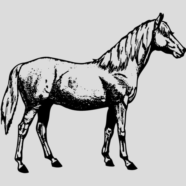 HORSE013 Thumbnail