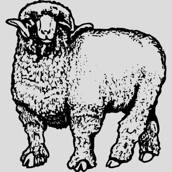 SHEEP001 Thumbnail
