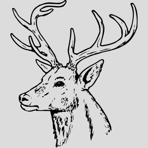 DEER022 Thumbnail