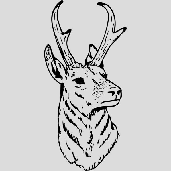 DEER023 Thumbnail