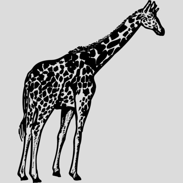 GIRAFF02 Thumbnail