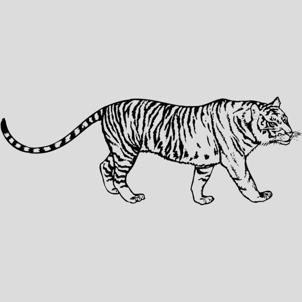 TIGER003 Thumbnail