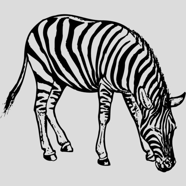 ZEBRA001 Thumbnail