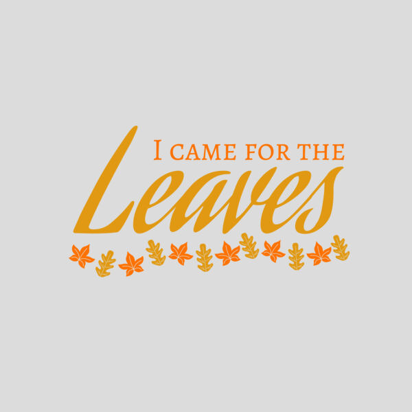 Fall Season 28 Thumbnail