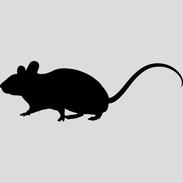 Mouse   Clipart 1 Thumbnail