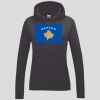 Women's College Hoodie Thumbnail